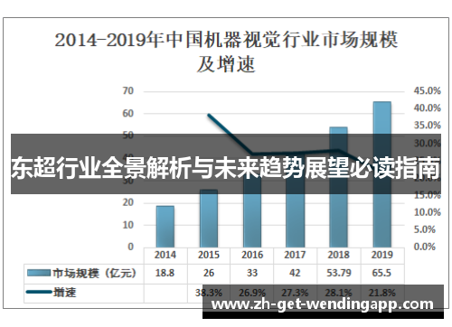 东超行业全景解析与未来趋势展望必读指南 东超行业全景解析与未来趋势展望必读指南