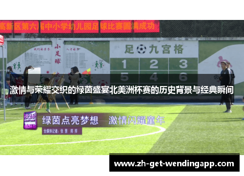 激情与荣耀交织的绿茵盛宴北美洲杯赛的历史背景与经典瞬间