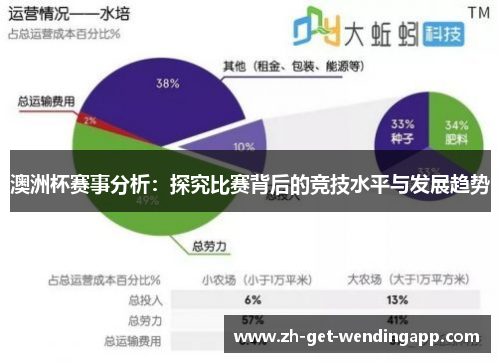 澳洲杯赛事分析：探究比赛背后的竞技水平与发展趋势