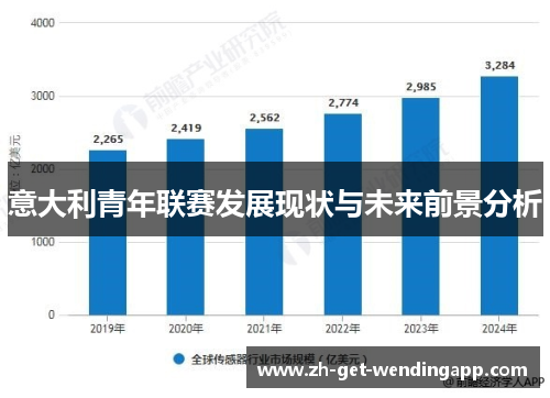 意大利青年联赛发展现状与未来前景分析 意大利青年联赛发展现状与未来前景分析