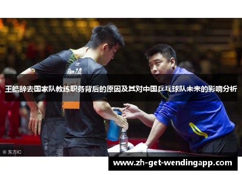 王皓辞去国家队教练职务背后的原因及其对中国乒乓球队未来的影响分析 王皓辞去国家队教练职务背后的原因及其对中国乒乓球队未来的影响分析