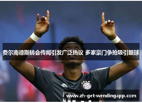 费尔南德斯转会传闻引发广泛热议 多家豪门争抢吸引眼球