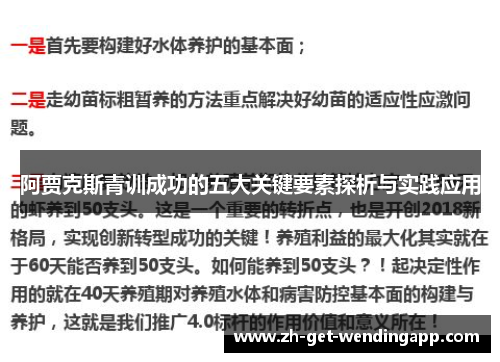 阿贾克斯青训成功的五大关键要素探析与实践应用