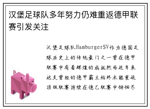 汉堡足球队多年努力仍难重返德甲联赛引发关注 汉堡足球队多年努力仍难重返德甲联赛引发关注