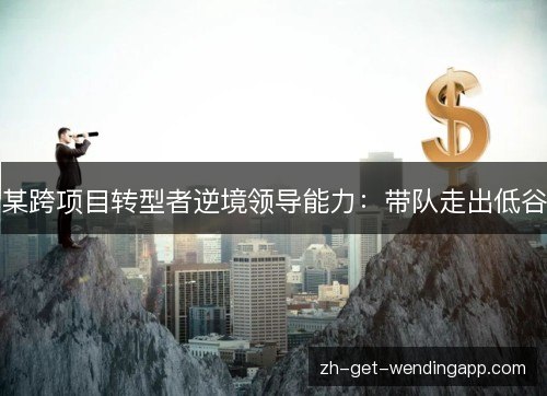 某跨项目转型者逆境领导能力:带队走出低谷 某跨项目转型者逆境领导能力:带队走出低谷