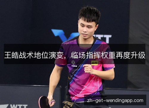 王皓战术地位演变,临场指挥权重再度升级 王皓战术地位演变,临场指挥权重再度升级